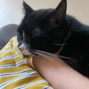 Meet your Posher, Renèe